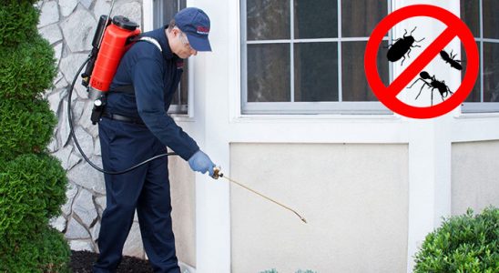 Çal Kene İlaçlama böcek ilaçlama ve haşere kontrolü — ilaclama-tr.com
